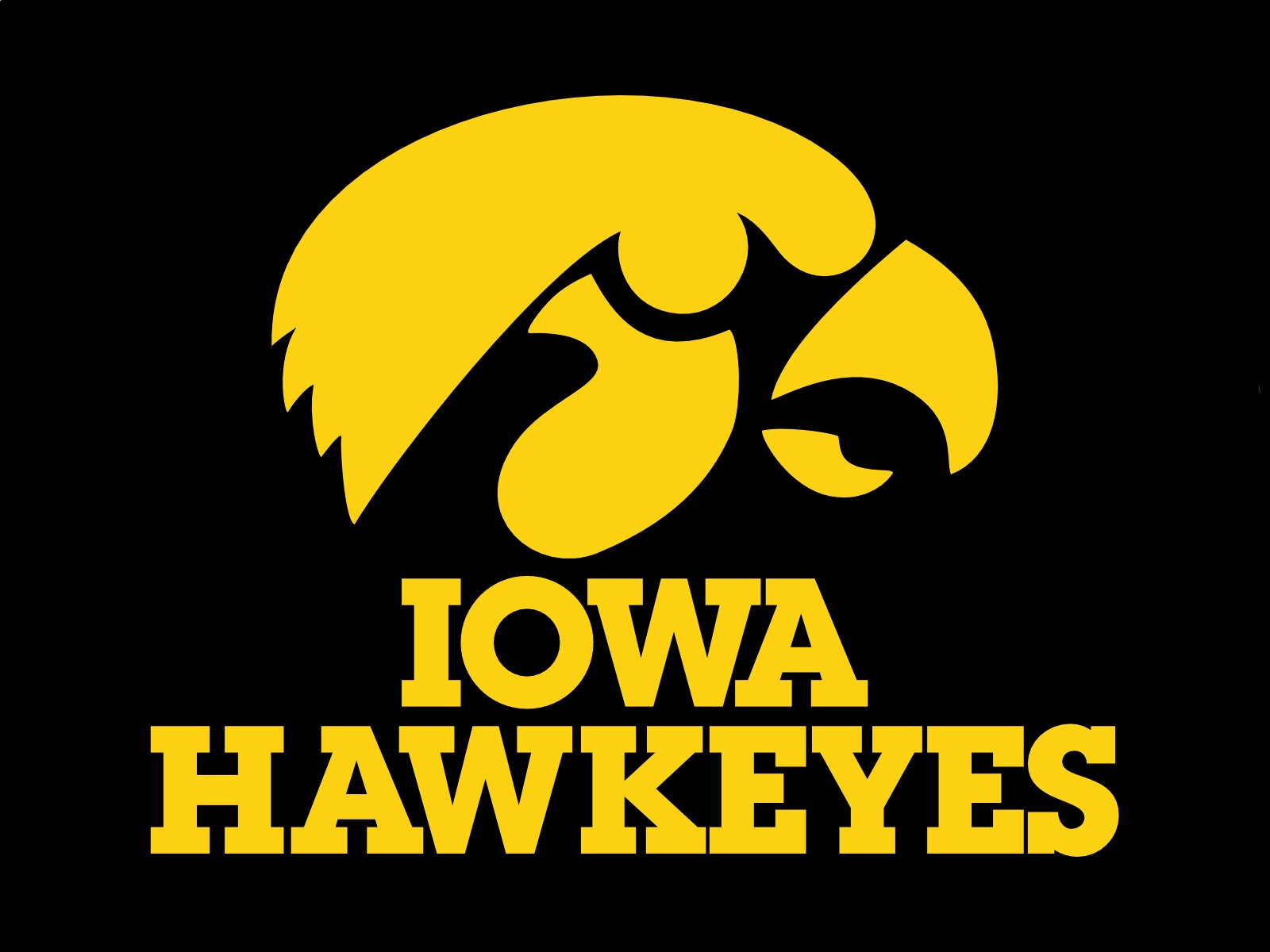 What is the Iowa Hawkeye Tiger Hawk? History and Significance