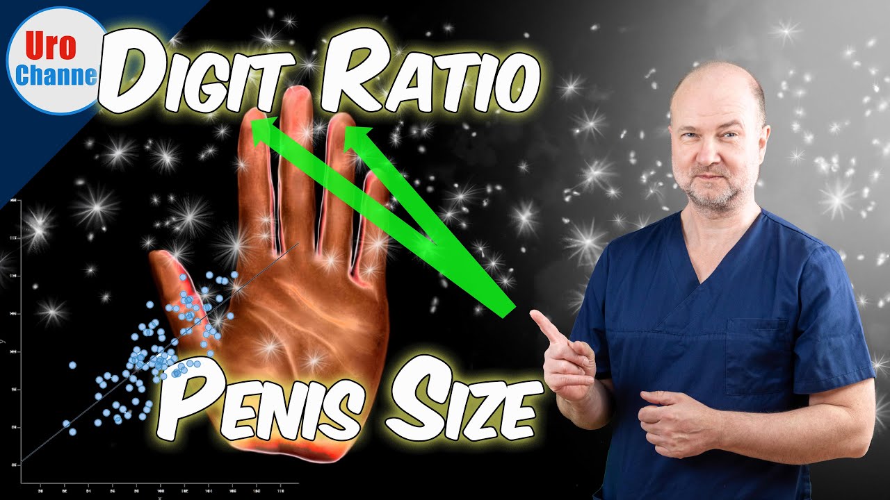 Penis Hand Size: Is There a Correlation Between Them?