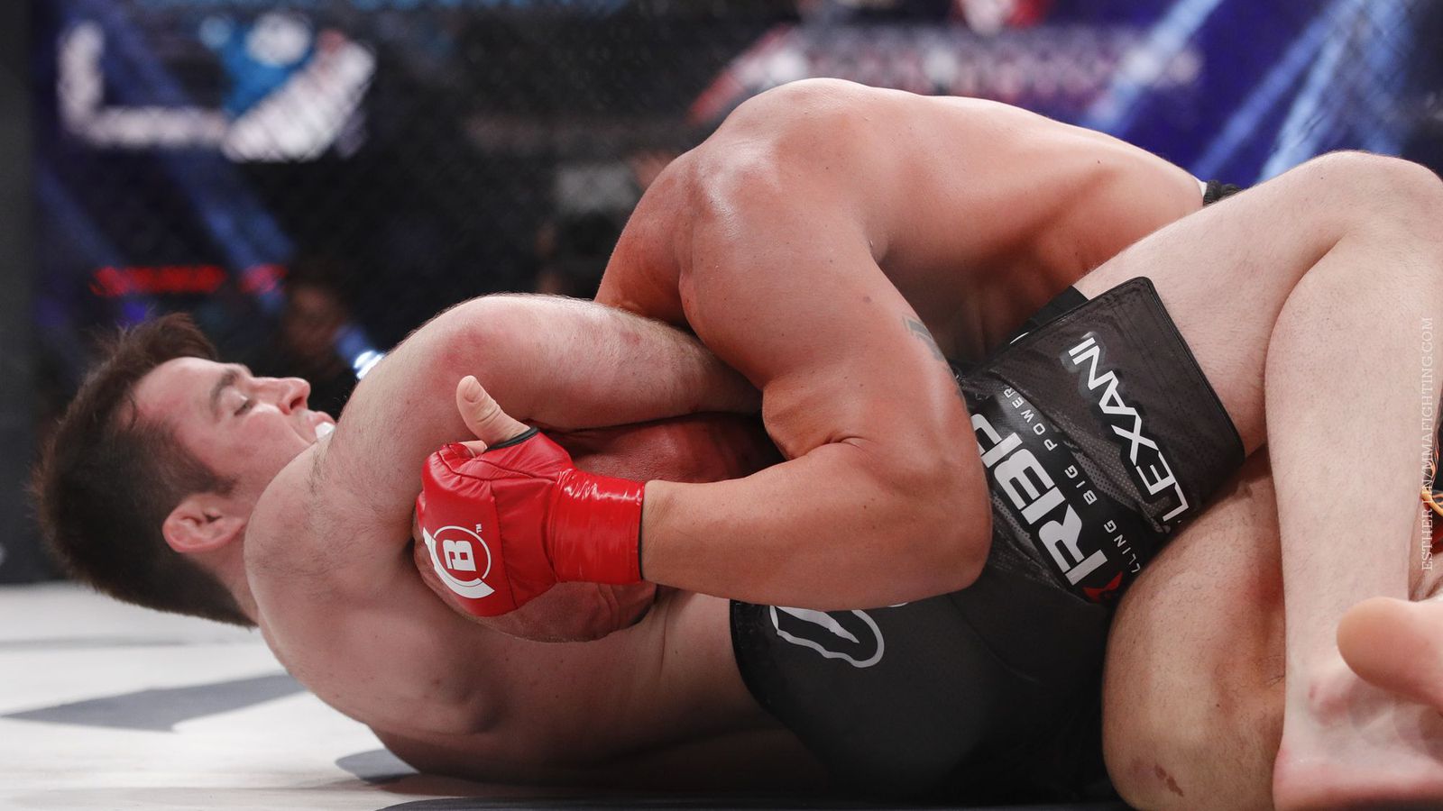 Chael Sonnen vs Tito Ortiz Rematch in Bellator: What You Need to Know About This Fight.