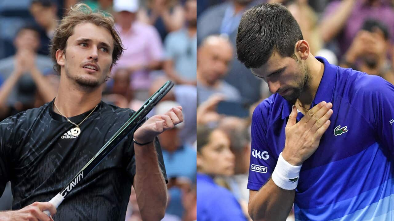 Djokovic and Zverev Head to Head: A Rivalry Explored