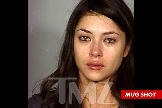 Arianny Celeste Mugshot: The Story Behind the Shocking Arrest!