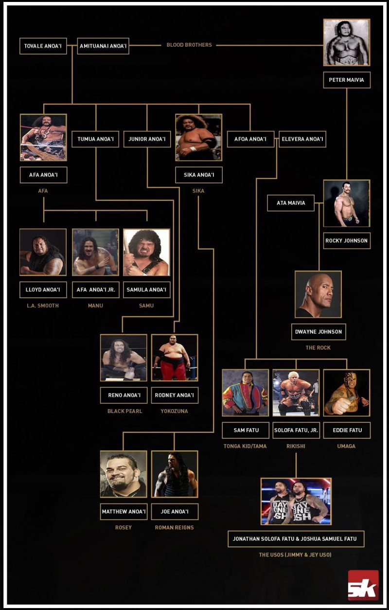 Samoan Wrestling Family Tree: Whos Who in This Famous Wrestling Dynasty?