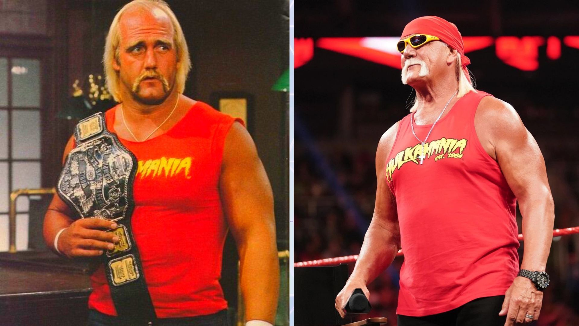 Hulk Hogan Height: Just How Big Is He? (The Truth About His Size)