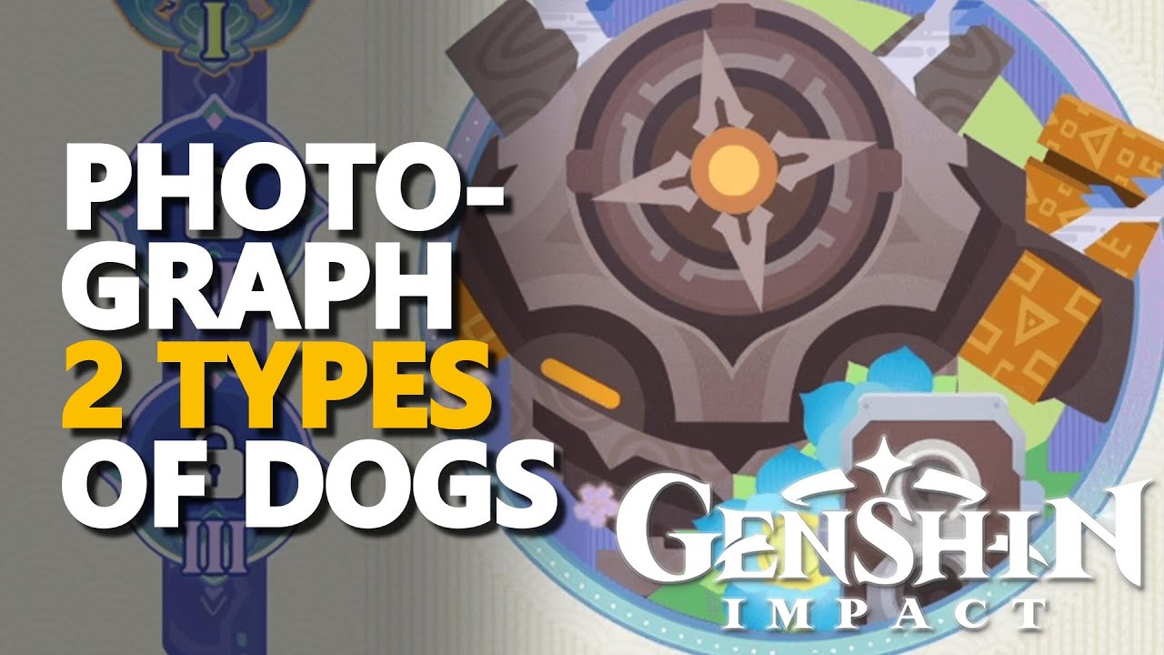 Genshin Photograph 2 Types of Dogs: Easy Guide for All Players!